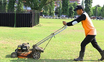 Landscaping and Lawn Care Services